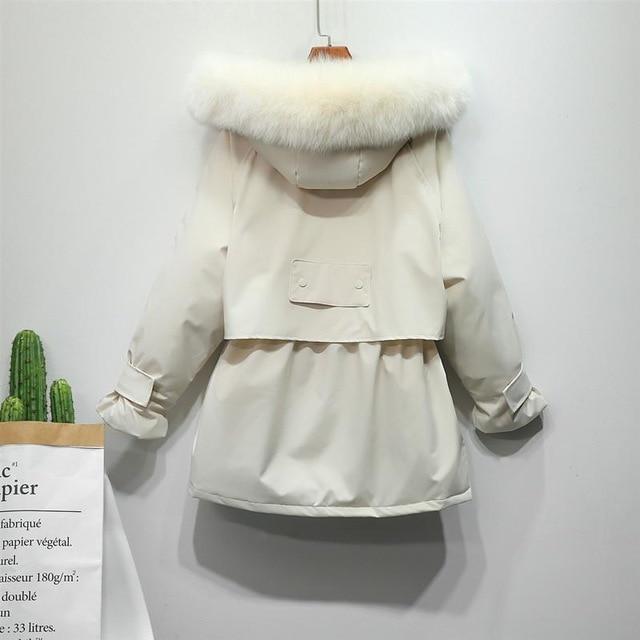 Women Clothing