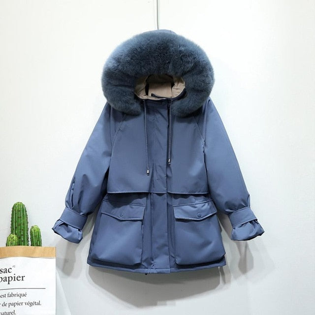 Women Clothing