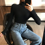 Knitted Women high neck Sweater