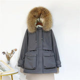 Women Clothing