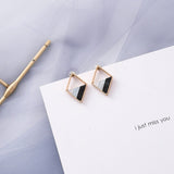 Simple Leopard Print Acetic Acid Geometric Long Drop Earrings