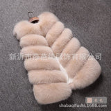 Women Clothing
